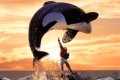 Free Willy creature